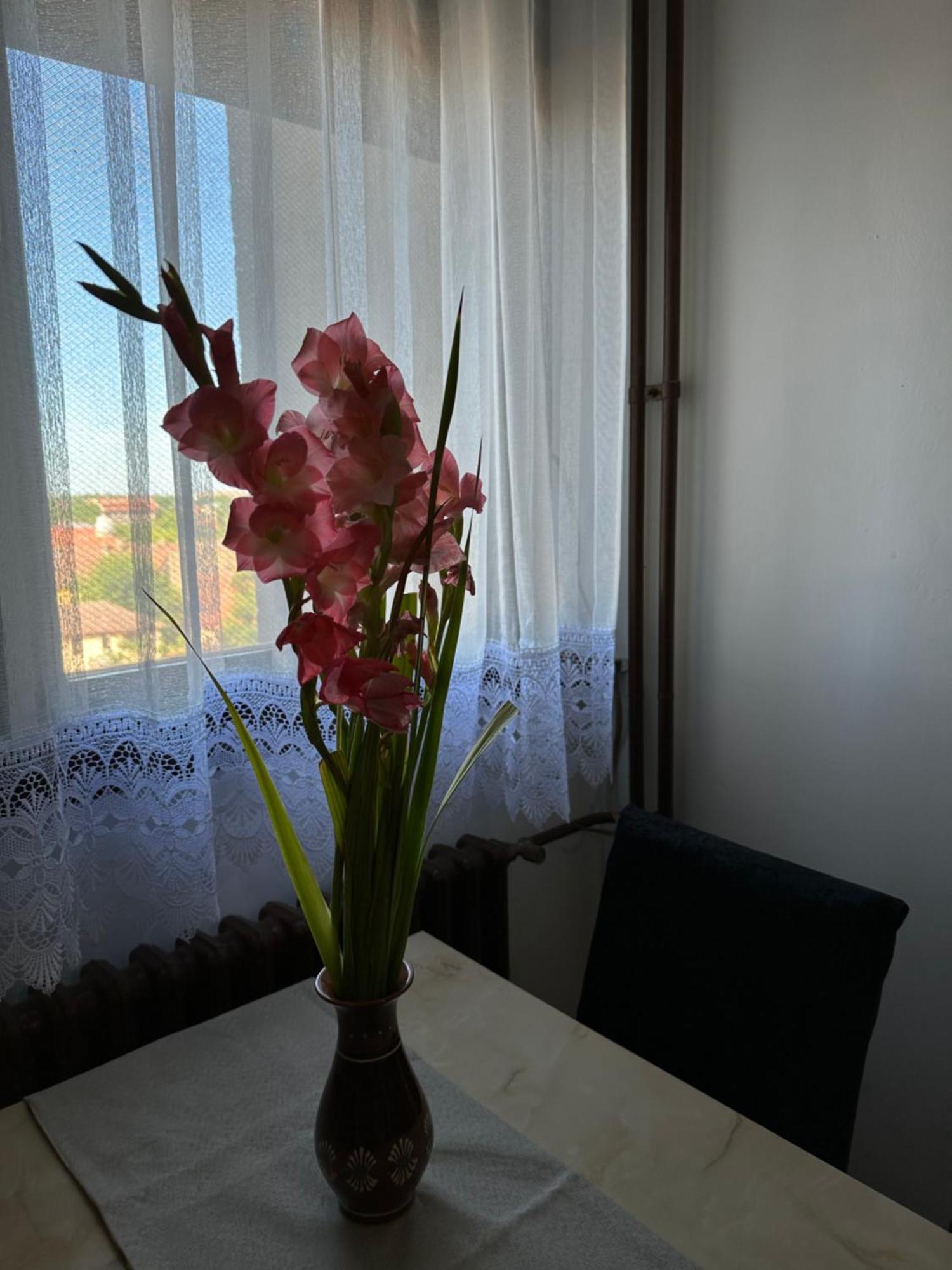 Tamaris Apartment Subotica Exterior photo